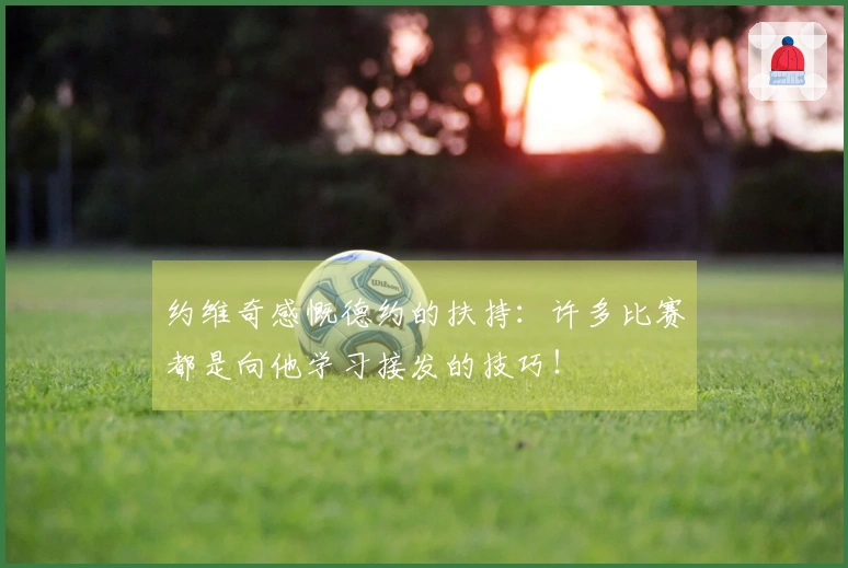 约维奇感慨德约的扶持：许多比赛都是向他学习接发的技巧！