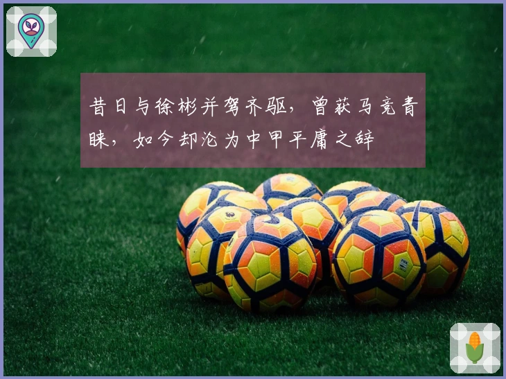 昔日与徐彬并驾齐驱，曾获马竞青睐，如今却沦为中甲平庸之辞